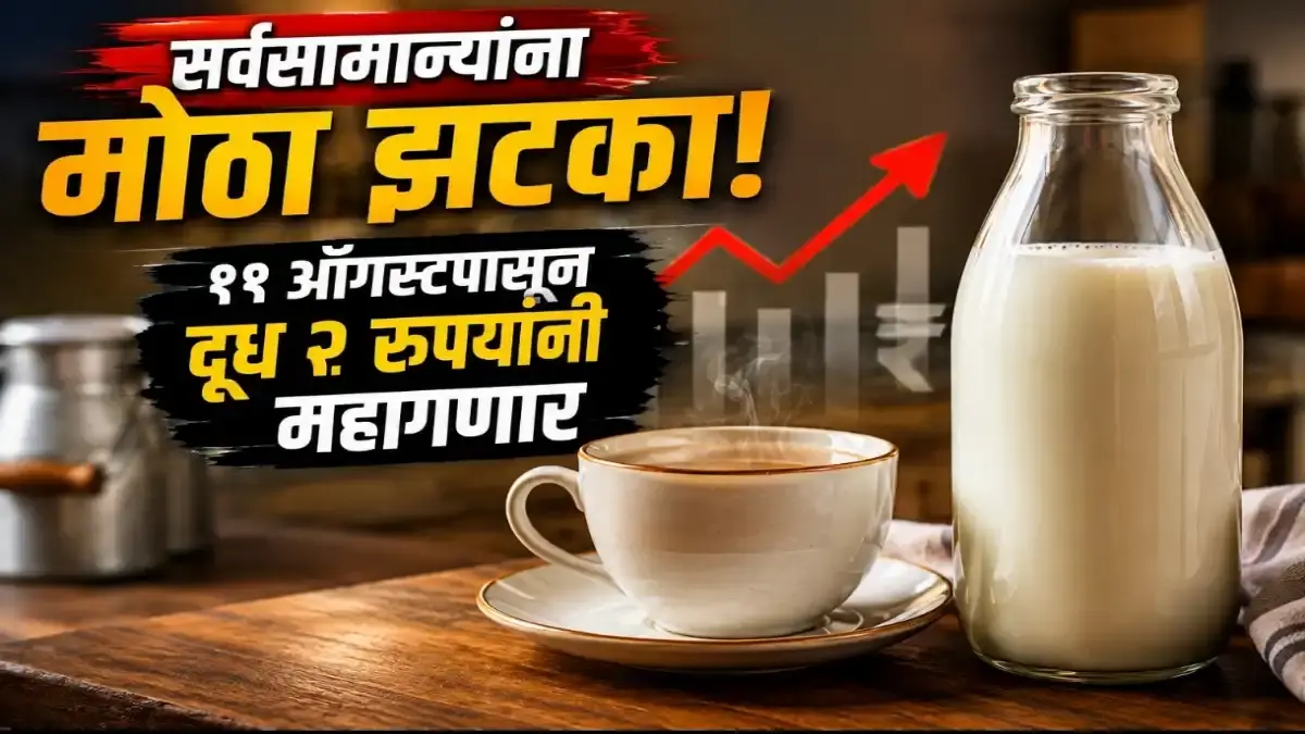 महाराष्ट्रात दुधाच्या दरात प्रतिलिटर २ रुपयांची वाढ: ११ ऑगस्टपासून गाय व म्हशीचे दूध महागणार; महासंघाचा निर्णय
